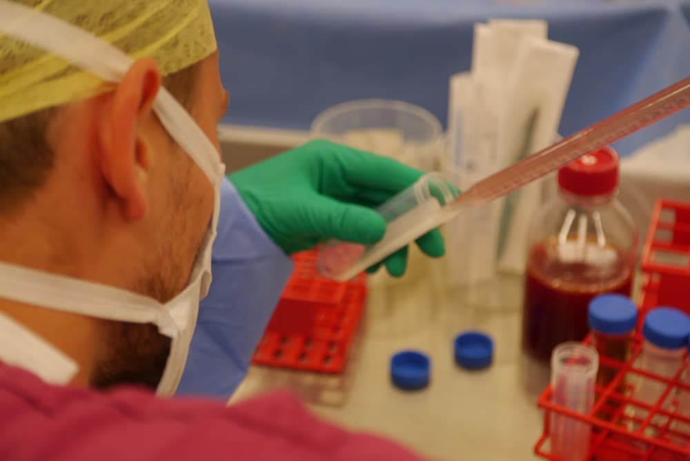 Cartilage cell therapy prepared at London Cartilage Clinic
